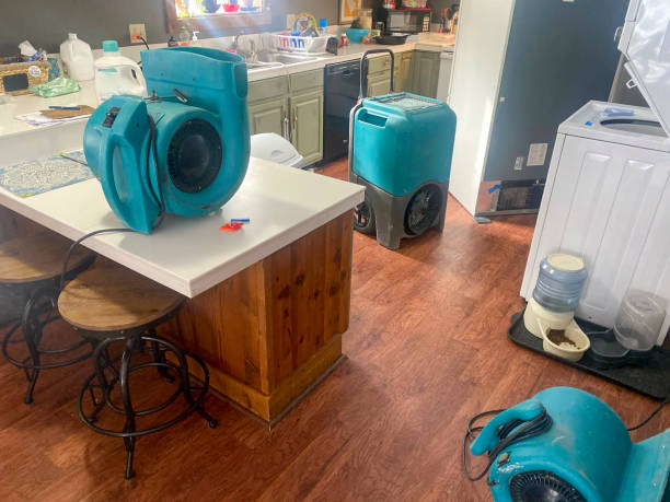 Best Flooded house restoration  in Patton Village, TX