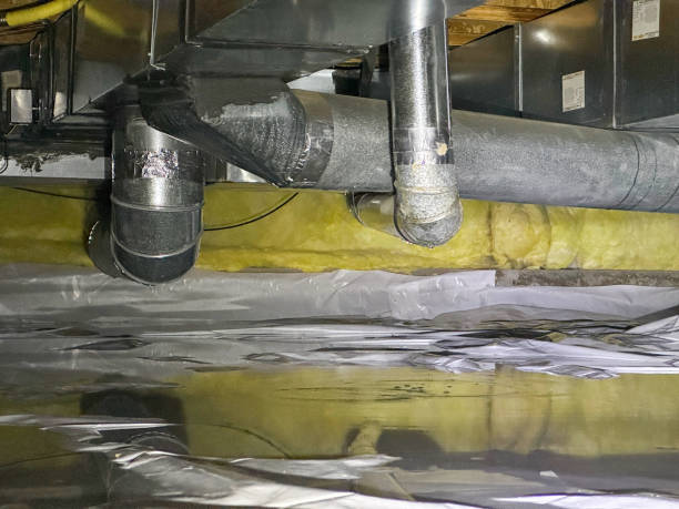 Best Basement water damage restoration  in Patton Village, TX
