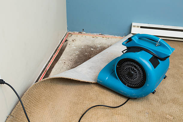  Patton Village, TX Water damage restoration Pros